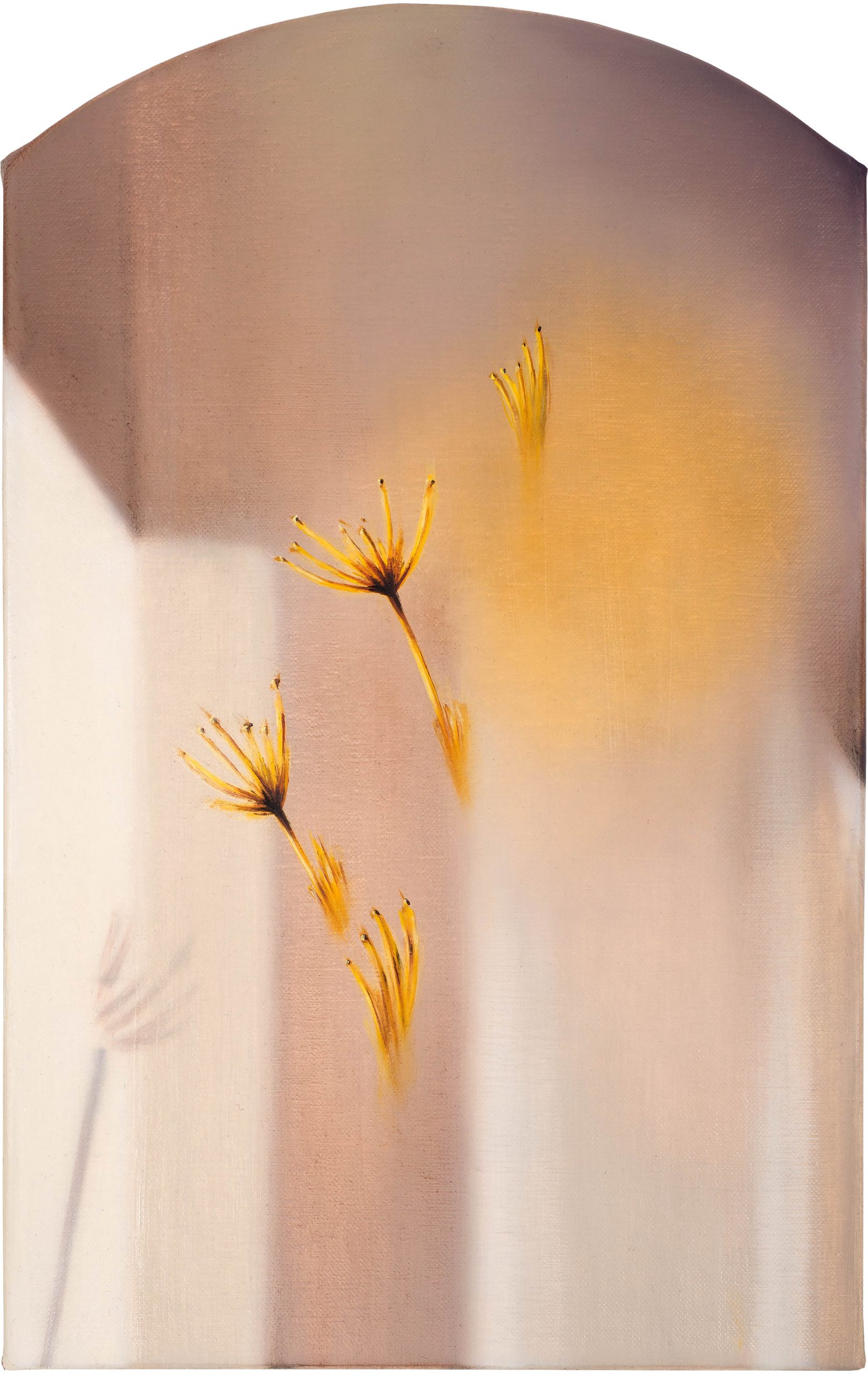 Affinity Photo_unbenannt-345